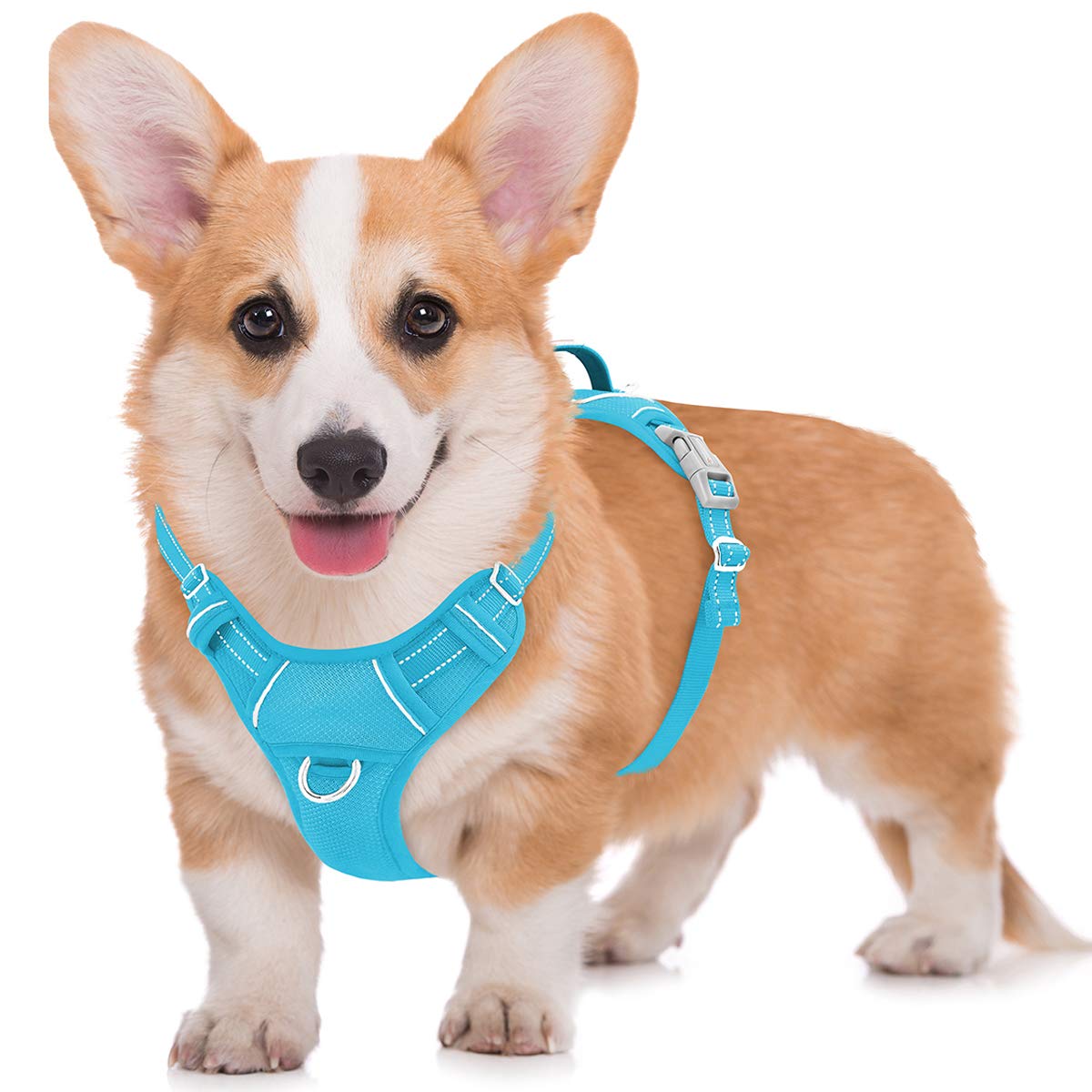 Barkbay No Pull Dog Harness Large Step In Reflective Dog Harness With Front Clip And Easy Control Handle For Walking Training Running With Id Tag Pocket(Blue,M)
