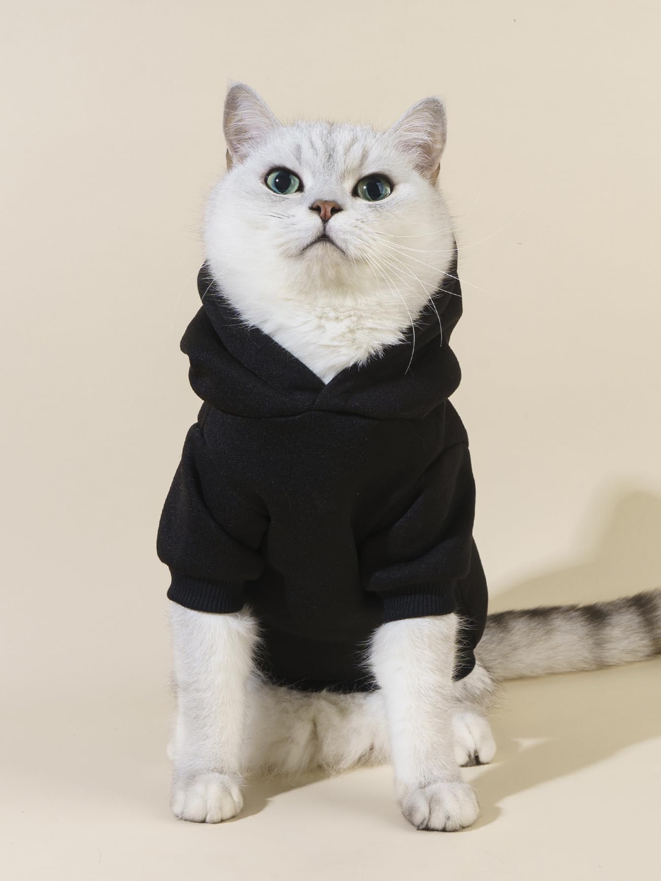 QWINEE Cartoon Bear Print Cat Hoodie Breathable Stretchy Sweatshirts with Hat Warm Cat Clothes for Small Medium Large Cats Dogs
