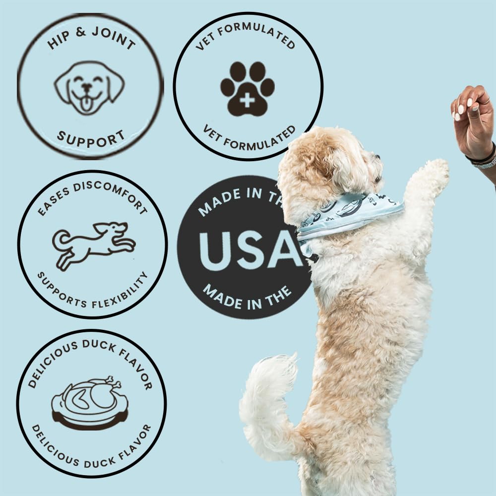 The Pets Table Hip & Joint Soft Chews Duck Flavored Mobility Supplement for Dogs, Joint Support Supplement with Glucosamine, 60