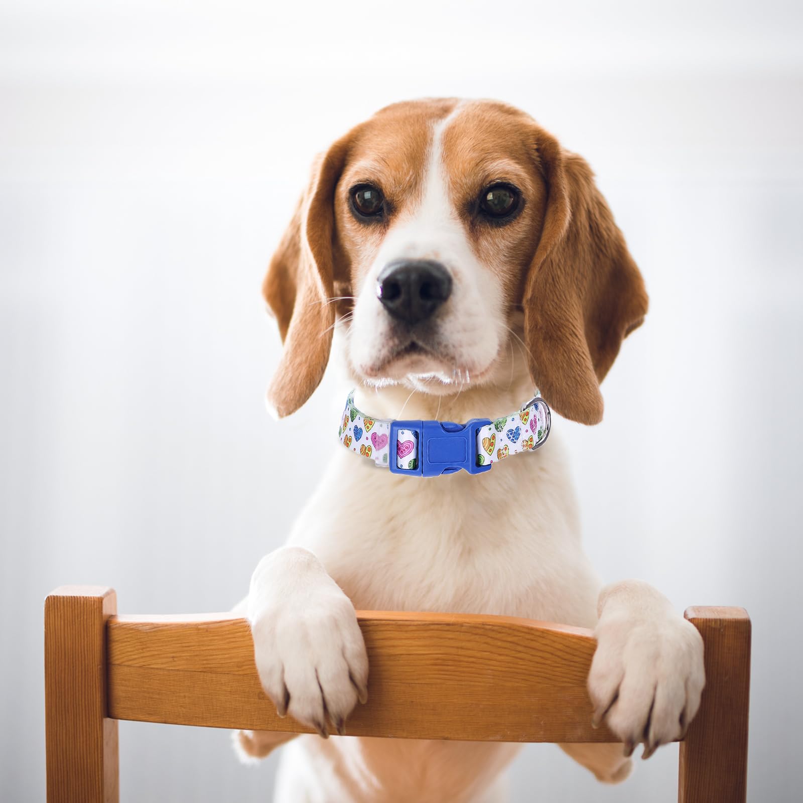 Valentines Dog Collar With Heart Patterns, Adjustable Nylon Comfy Soft Durable Pet Collar For Xs Small Medium Large Extra Large