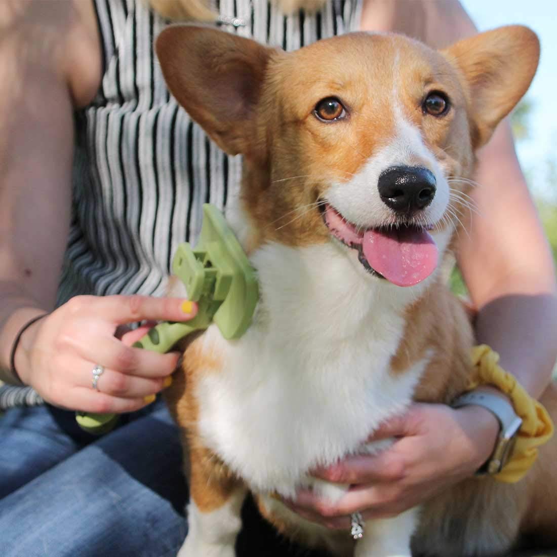 Coastal Pet Safari Dog Self-Cleaning Slicker Brush - Dog Deshedding Brush - Prevents Mats And Tangled Hair - For Dogs With Short Or Long Hair - Medium - 4.25' X 4.06'