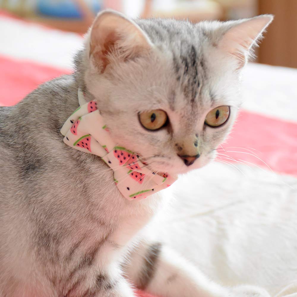 Bowtie Cat Collars Breakaway With Bell, Adjustable Cute Kitty Collars Safety Buckle Kitten Collar For Cat Puppy 7.5-11In