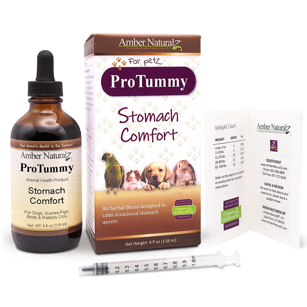 AMBER NATURALZ ProTummy Herbal Supplement for Dogs & Small Pets | 4 oz Glass Bottle | Stomach Comfort Blend
