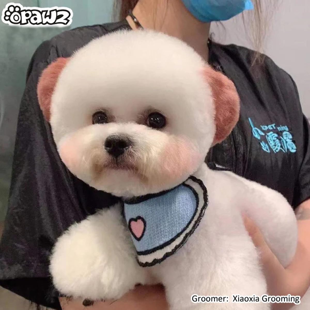 Opawz Pet Hair Chalk, Temporary Dog Hair Dye, Washable Pet Hair Dye, Pet Safe Dye For Creative Grooming (Brown)