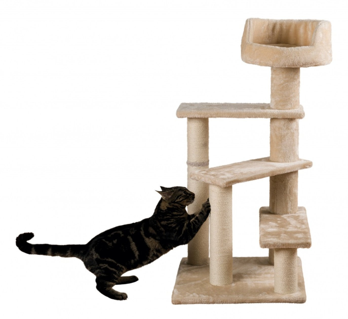 Trixie Tulia Senior Cat Tower With Scratching Posts, Four Platforms, Top Platform With Backrest, Beige Medium
