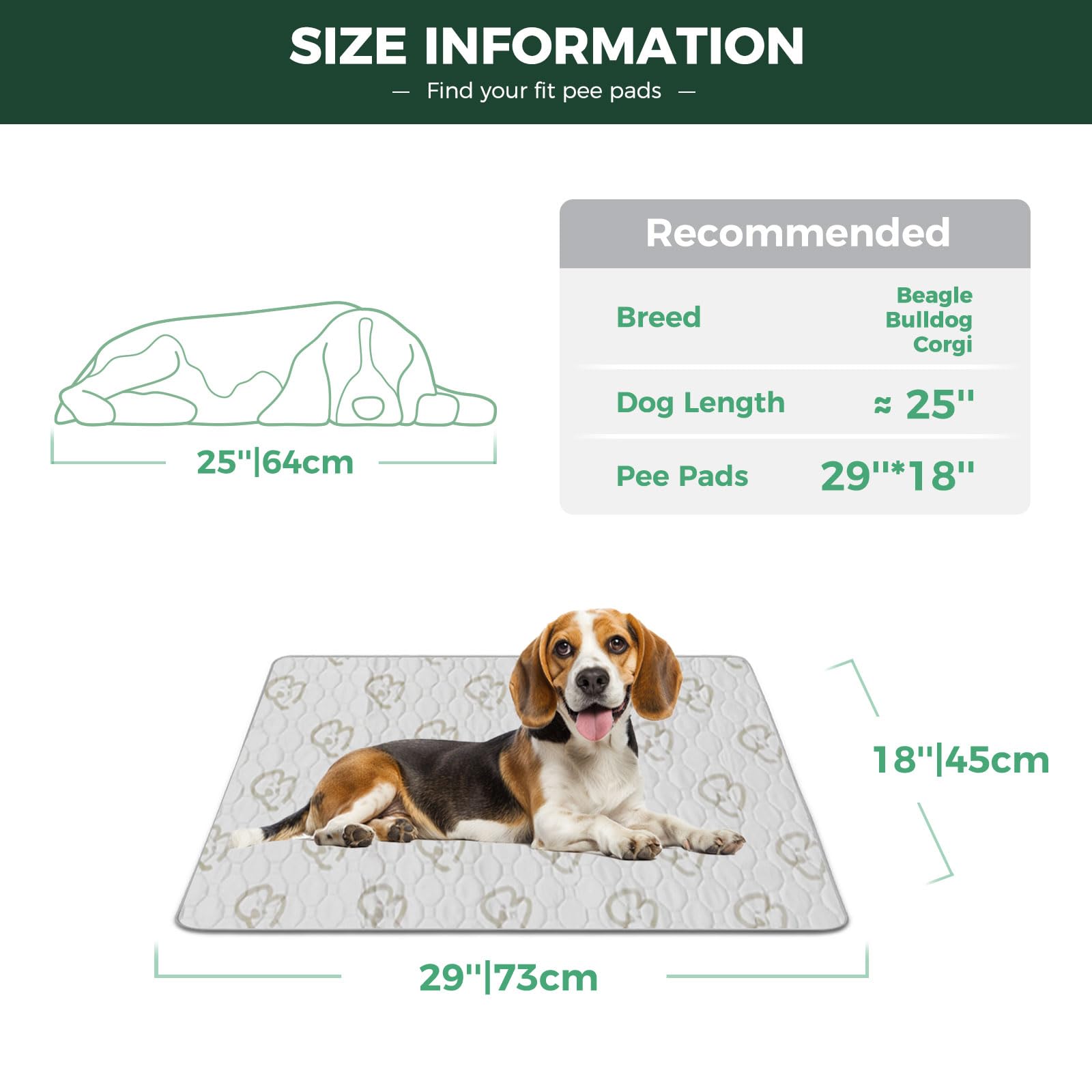 FXW Washable Pee Pads for Dogs, Puppy Pads with Super Absorbent, Specifically Designed for 30inch Cages, Rectangle, 29  x 18 , 2
