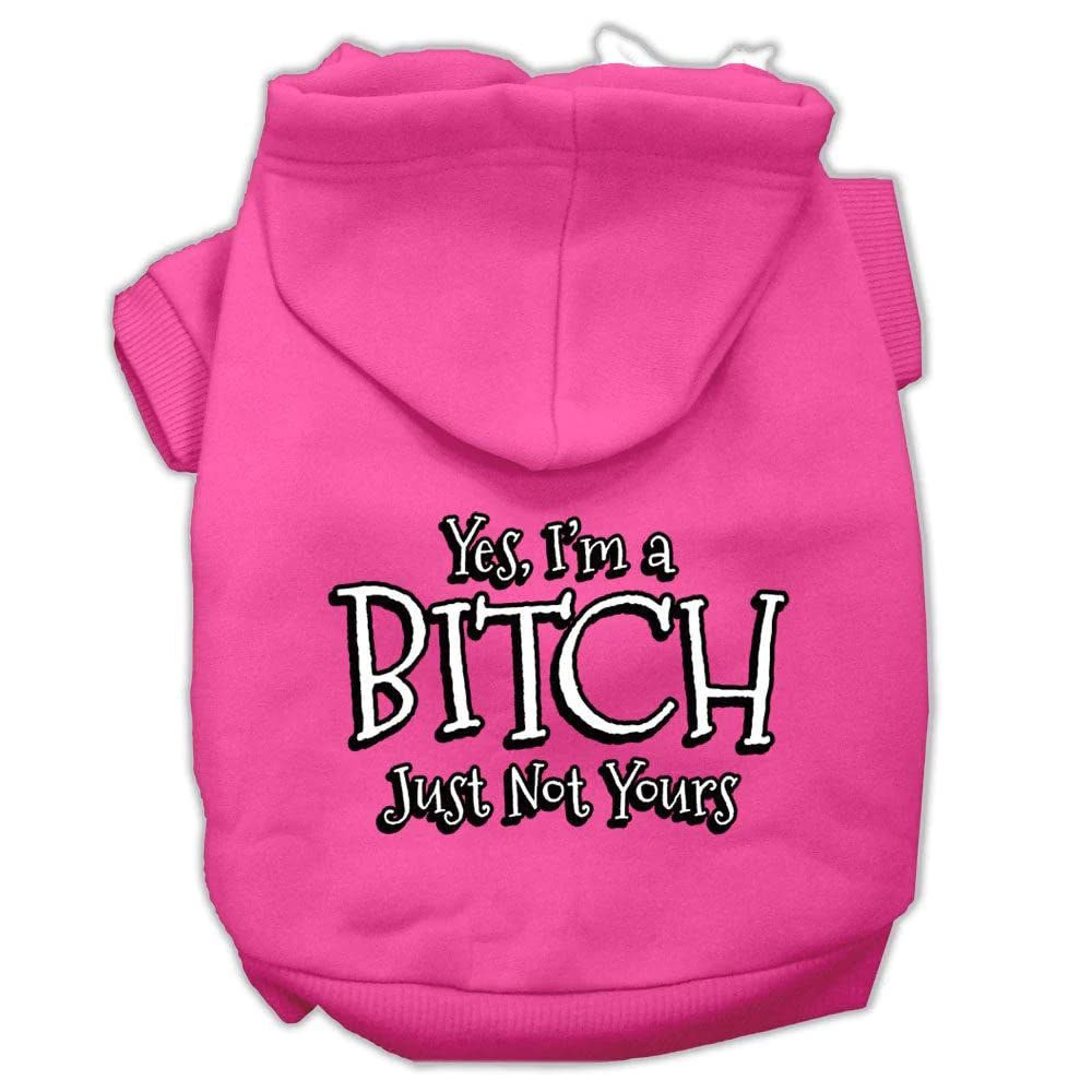 Pet Dog & Cat Hoodie Screen Printed, &quot;Yes, I'm A Bitch, Just Not Yours&quot; Gray MD (6-10 lbs.)