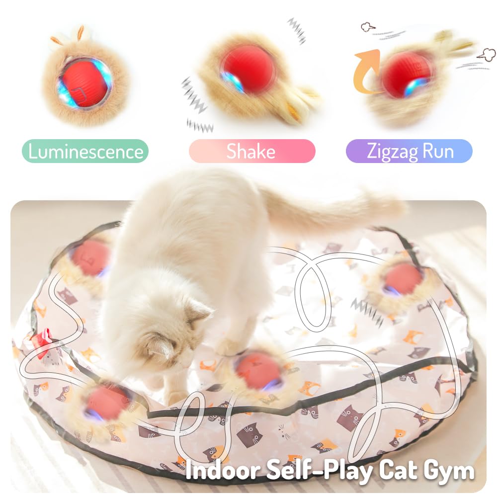 Lekewpet Interactive Cat Toys For Indoor Cats, Automatic Ball Toy Rolling Motion Activates, Hide & Seek Game For Cat Play, Recha