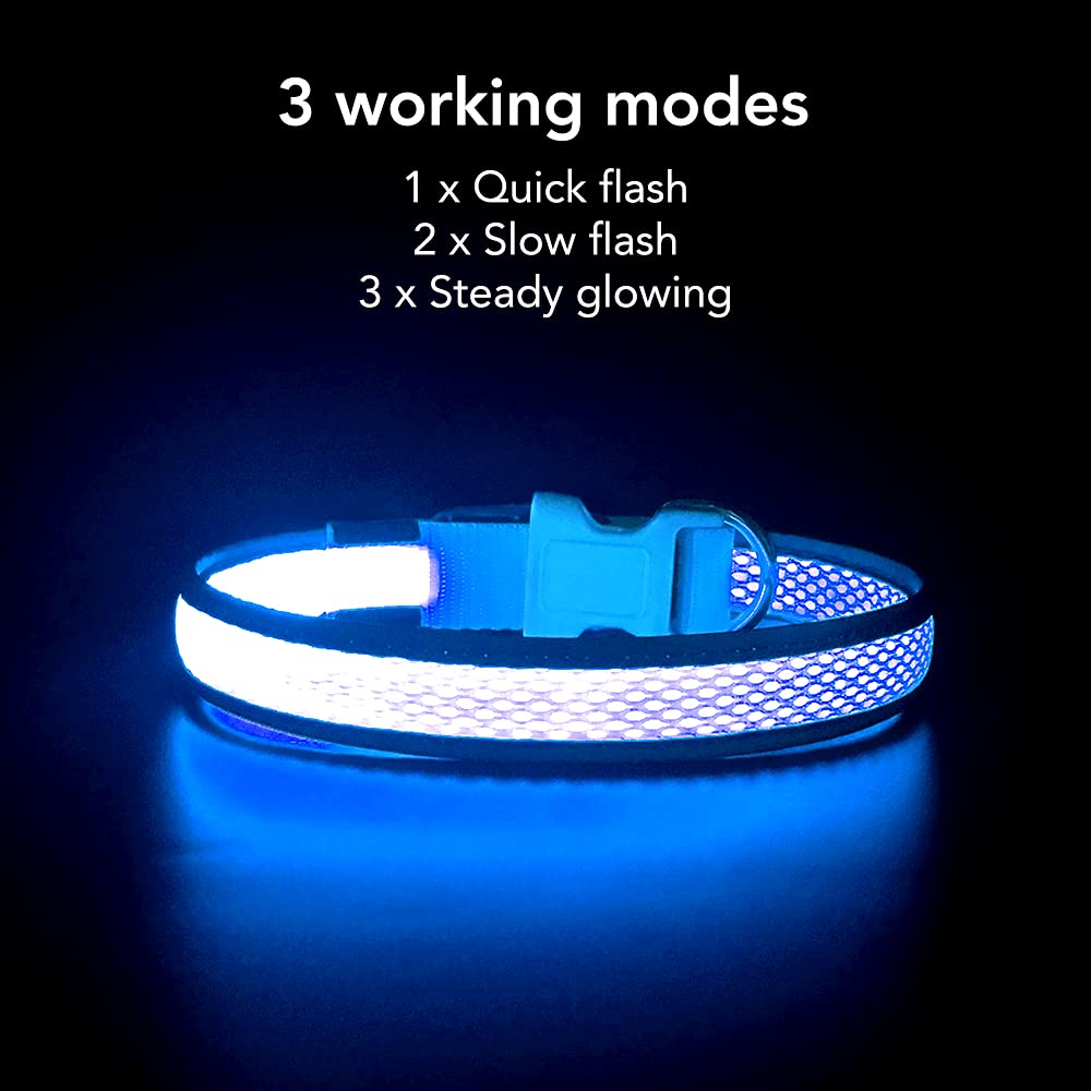 Yfbrite Light Up Dog Collar, Rechargeable Led Dog Collar, Flashing Dog Collar, Adjustable Reflective Dog Collar Safety Glowing At Night (Blue, Medium)
