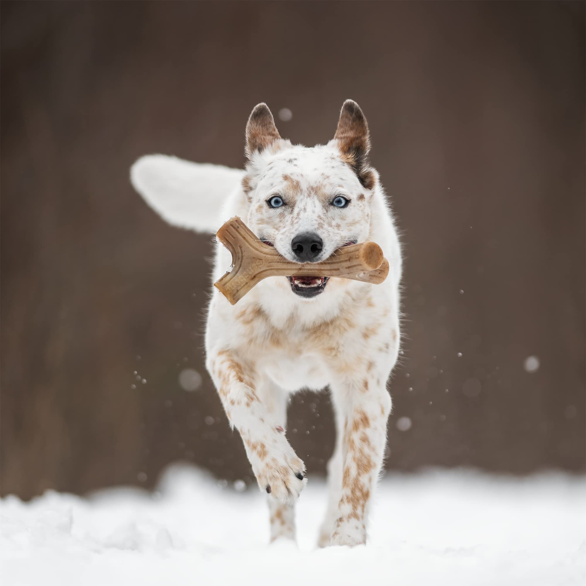 Benebone 2-Pack Maplestick/Zaggler Durable Dog Chew Toys, Real Maplewood, Real Bacon, Made In Usa Large