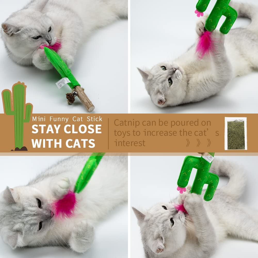 Paz'S Gift Cat Chew Toy Catnip Organic Cat Bite Toy Indoor Interactive Cat Kick Stick For Cats Silvervine With Feather Cat Stick Cute Plush Cactus
