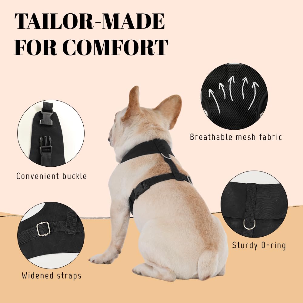 AVERYDAY Dog Tuxedo Suit with Bowtie, Large (L), Blue Tux & Champagne Tie, Polyester, Model DTX-002, Perfect for Weddings & Parties