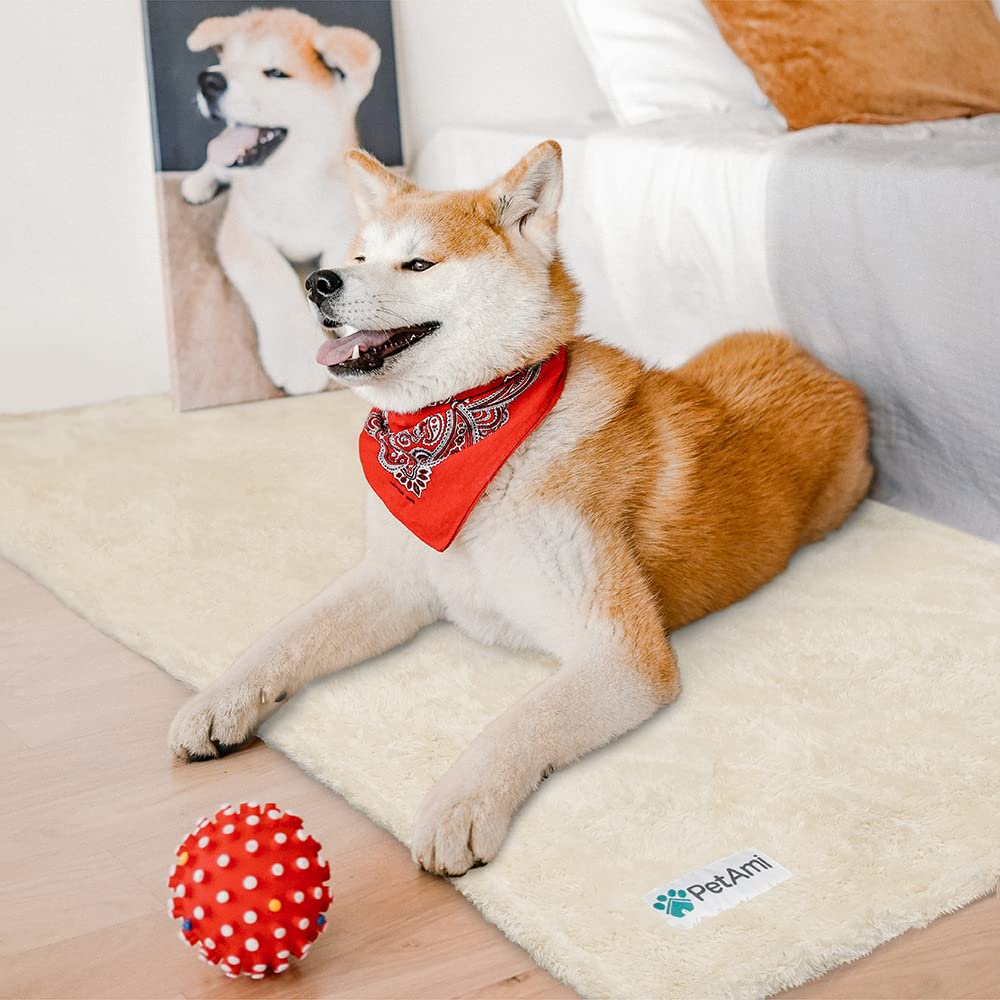 Petami Fluffy Dog Blanket For Small Medium Large Dogs, Sherpa Soft Warm Pet Fleece Throw For Indoor Cats, Fuzzy Plush Shaggy Blanket Furniture Protector Sofa Couch Bed, Beige 24X32