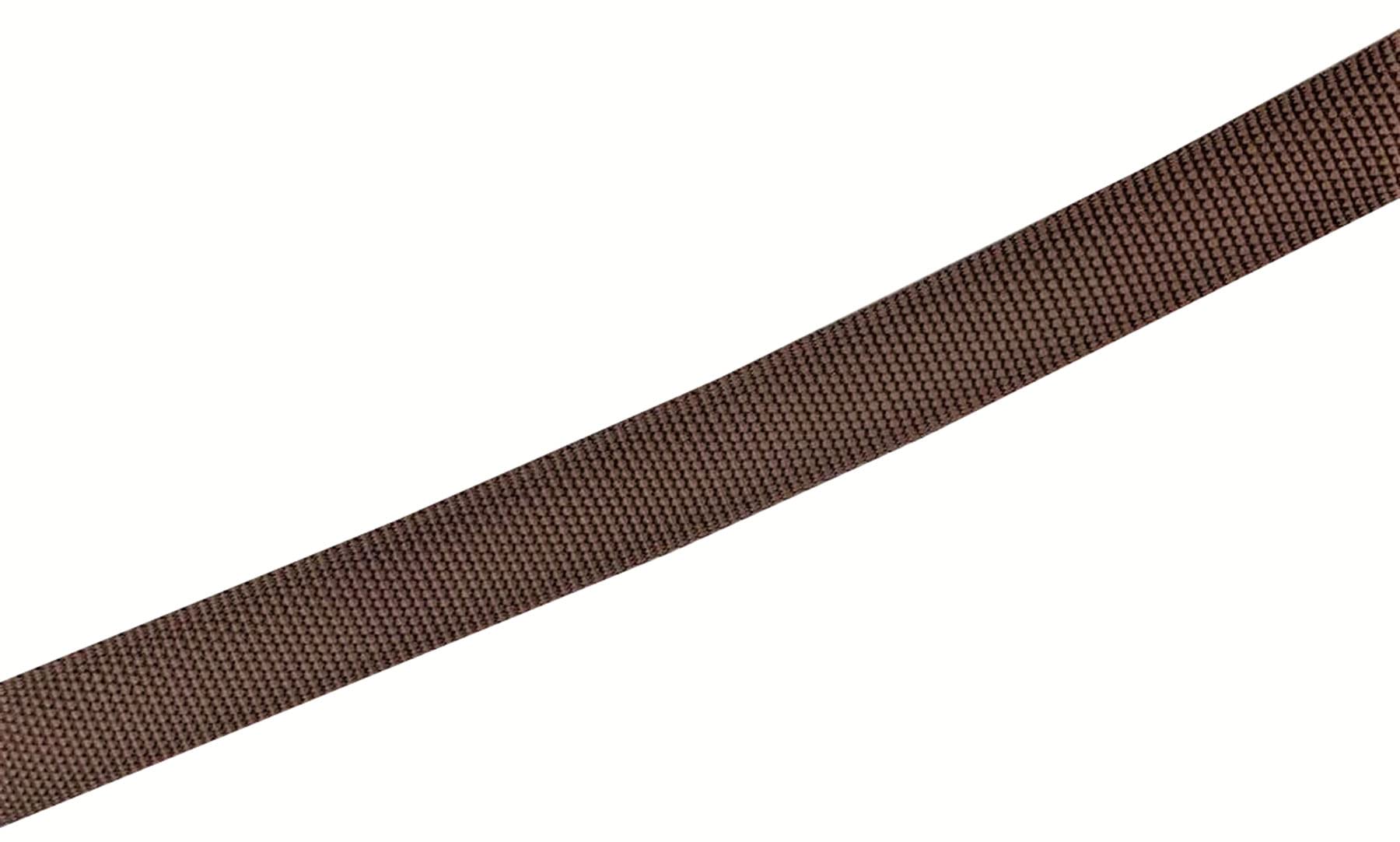 Taian 4Ft/5Ft/6Ft Strong Dog Leash, Nylon Dog Leashes For Small Medium Large Dogs (Brown, 1 In X 10 Ft)