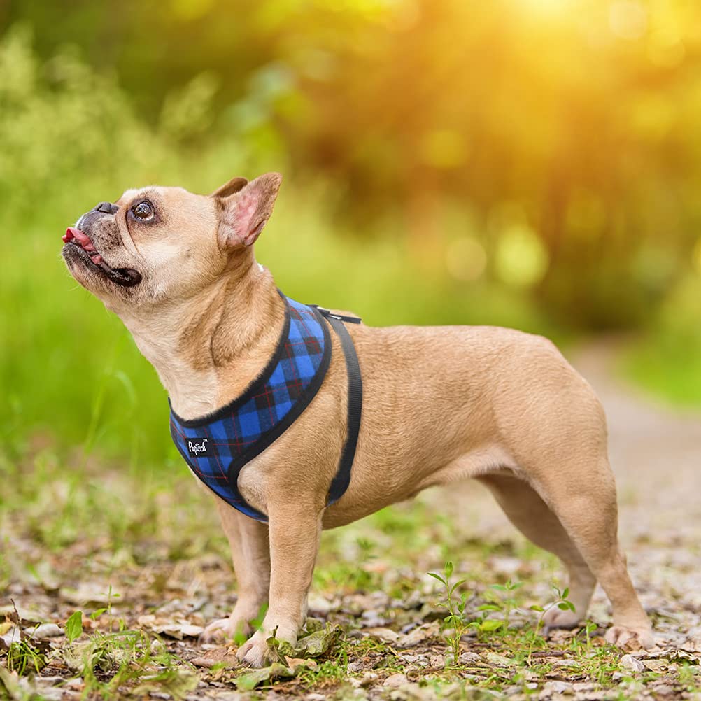 Pupteck Soft Mesh Dog Harness And Leash Set Pet Puppy Cat Comfort Padded Vest No Pull Harnesses, Navy Blue, Xs