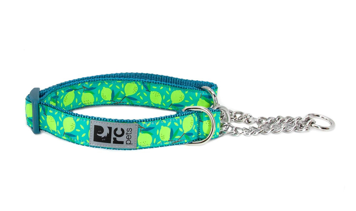 Rc Pets 1'' Martingale Training Dog Collar, Medium, Lemonade