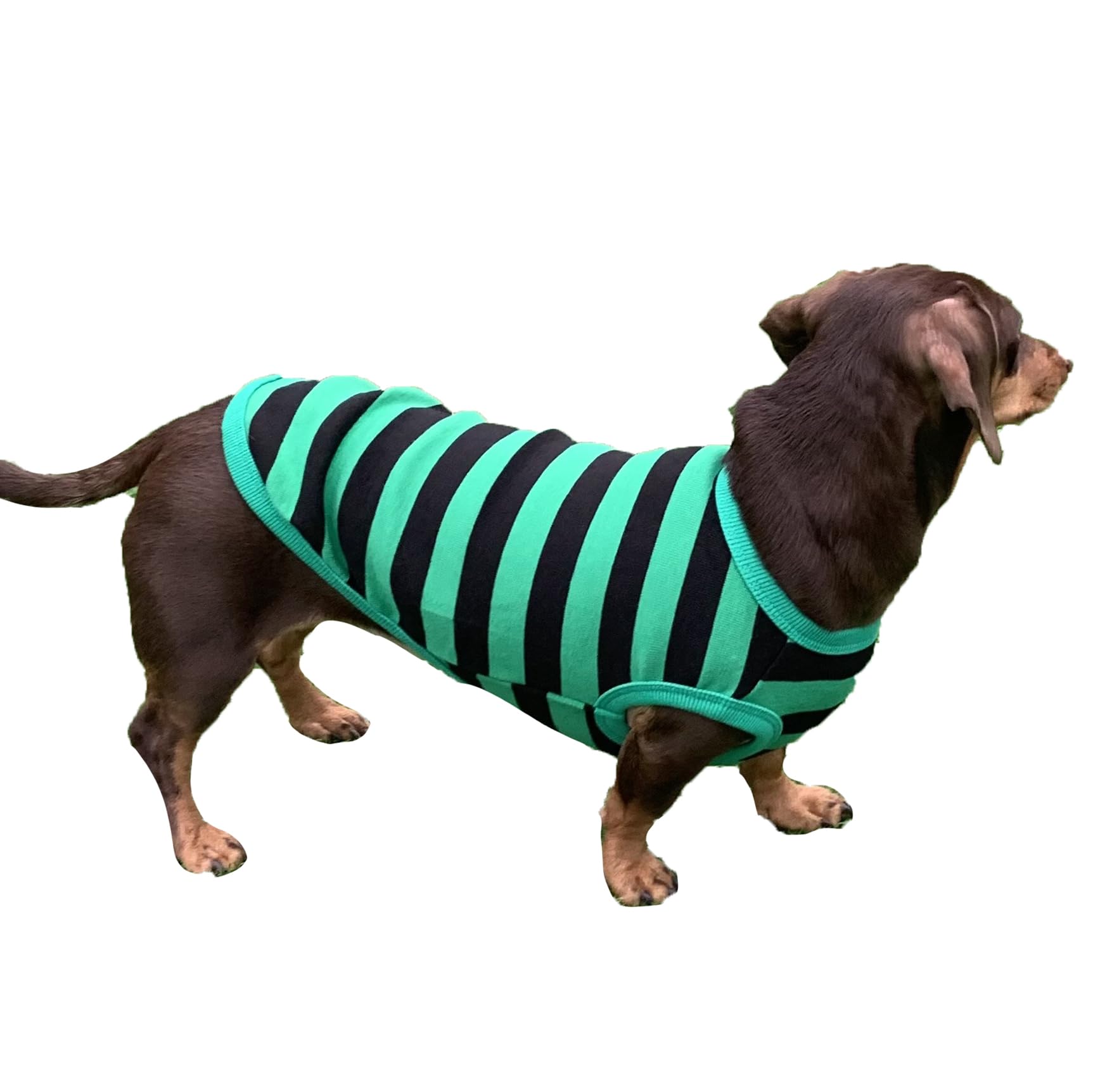 D Doggy Star Dachshund Clothes For Dogs Mini And Adults T Shirts (Xl,Stripe Green/Black)