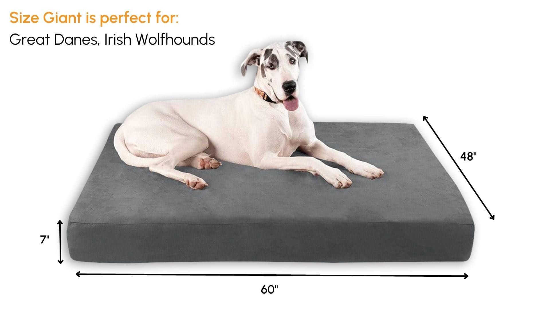 Barker Beds Sleek Giant Dog Bed (Giant, Charcoal) - 7 Thick Soft & Comfortable Orthopedic Cushion - Big Dog Bed - Durable & Wa