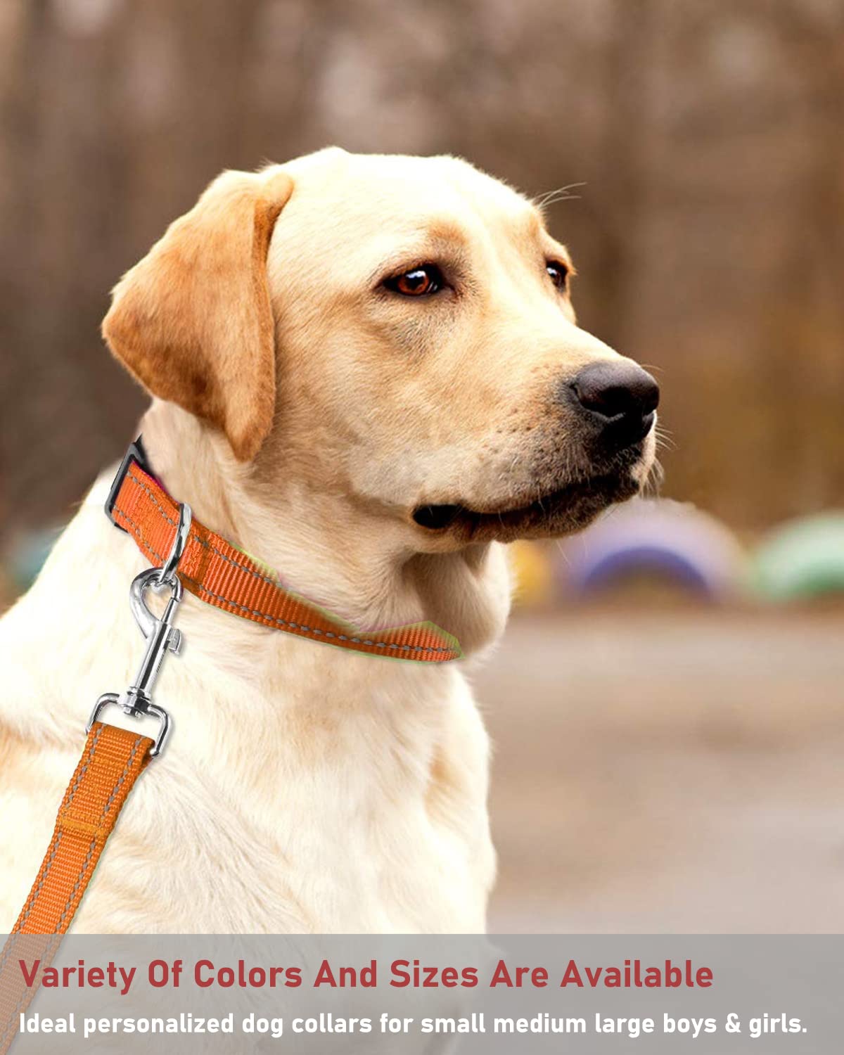 Reflective Dog Collar With Buckle Adjustable Safety Nylon Collars For Small Medium Large Dogs, Orange L