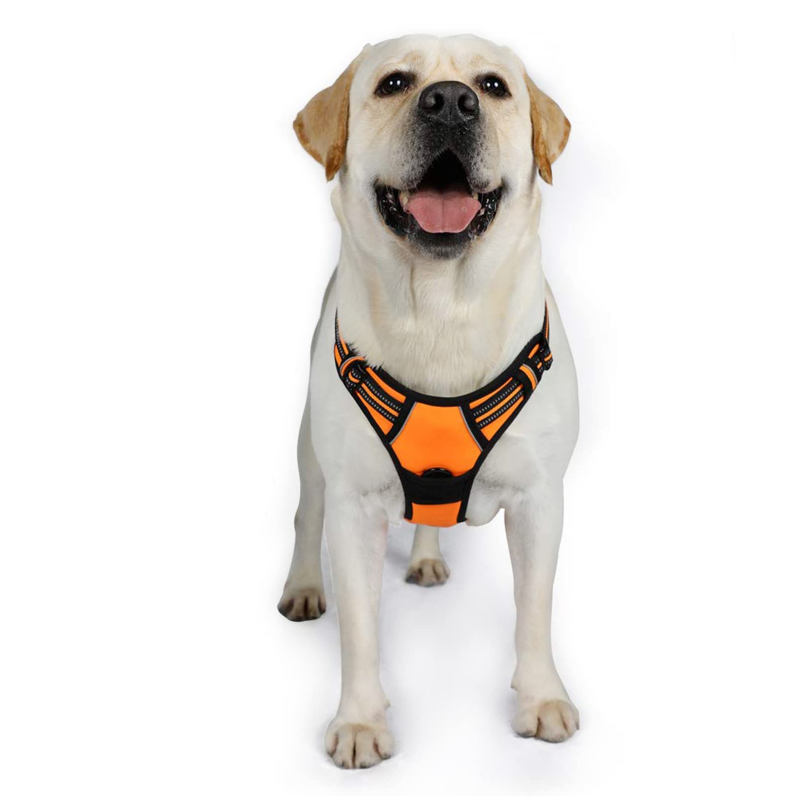 Rabbitgoo Dog Harness No Pull With 2 Leash Clips, Adjustable Soft Padded, Reflective Oxford No Choke Pet Vest With Easy Control Handle For Large Dogs, Orange, Xl