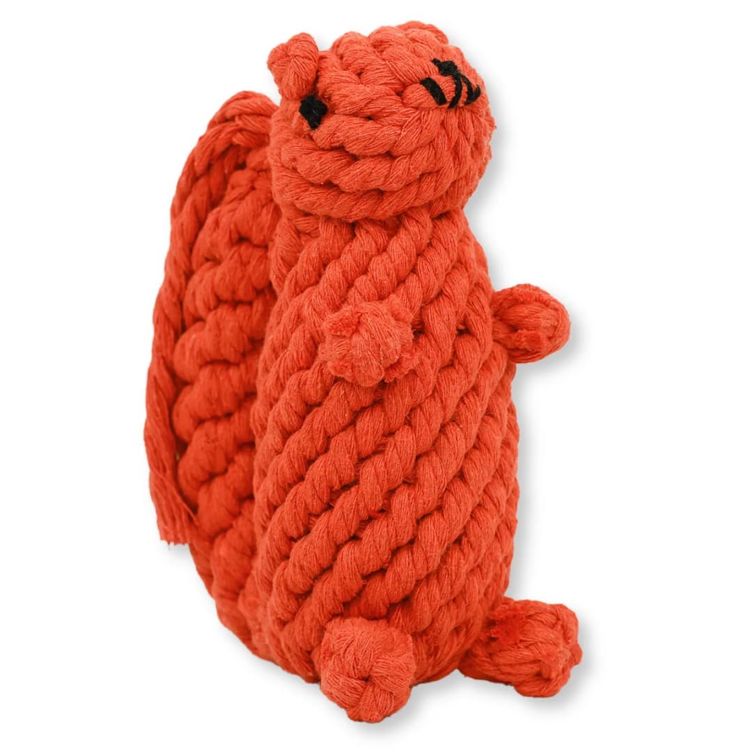 Chowabunga Bucky The Squirrel Dog Toy Handmade Eco Cotton Rope Squirrel Toy for Dogs - Natural, Non-Toxic Dyes, Dog Chew Toys fo