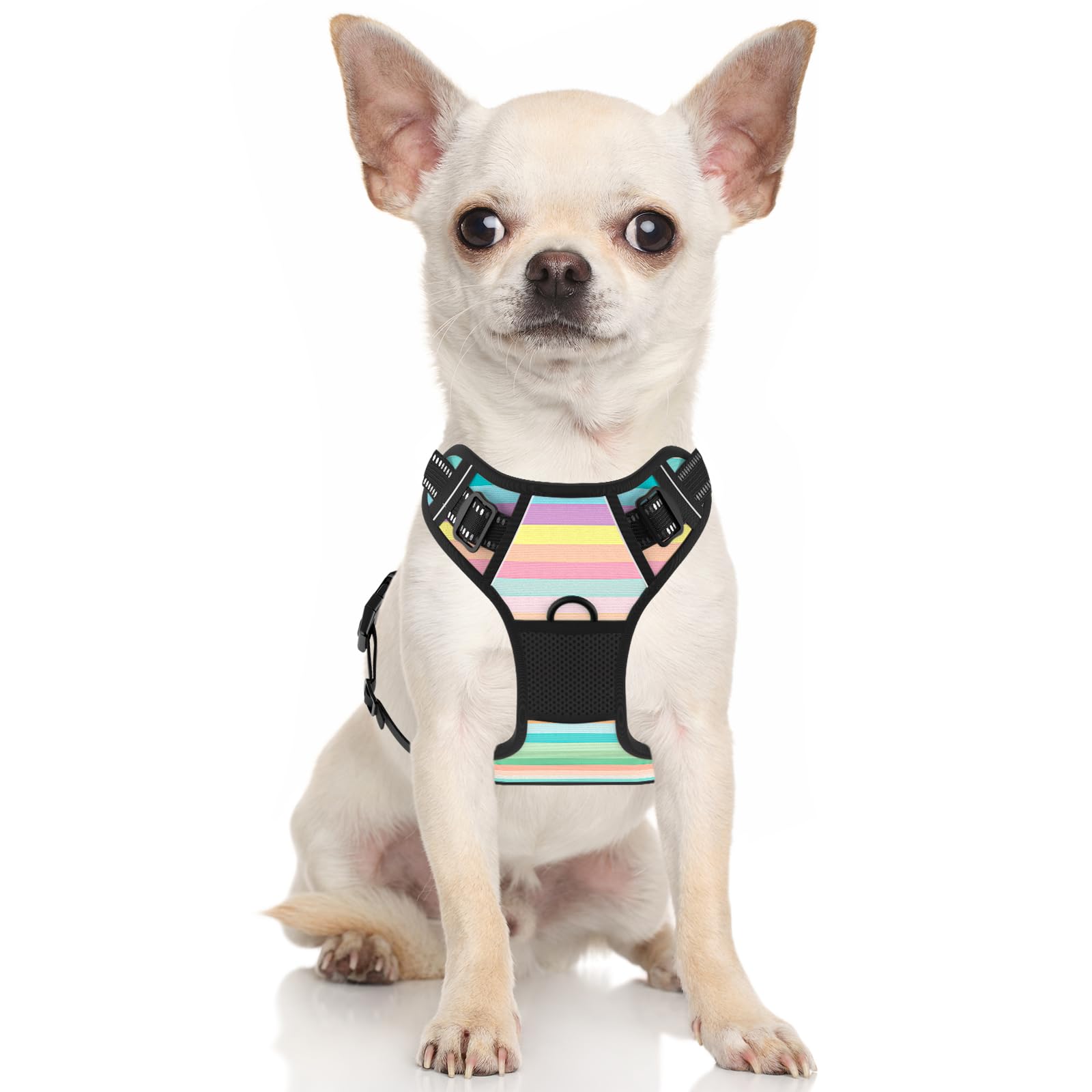 Rnivvi No Pull Dog Harness, Cute Reflective Extra Small Sized Puppy Harness, Adjustable Soft Padded Vest for Small Dogs, Cats, H