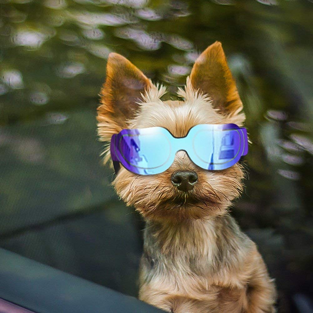 Enjoying Dog Goggles Small Breed, Puppy Sunglasses Uv Protection, Summer Dog Eye Protection For Small Dogs Outdoor Driving Riding, Winter Antifog Dog Snow Goggles, Cool Blue