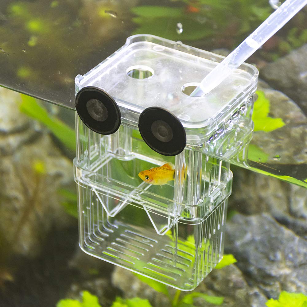 Senzeal Aquarium Fish Breeder Box Plastic Fish Isolation Breeding Box Hatching Incubator Box For Baby Fish Shrimp Clownfish Guppy
