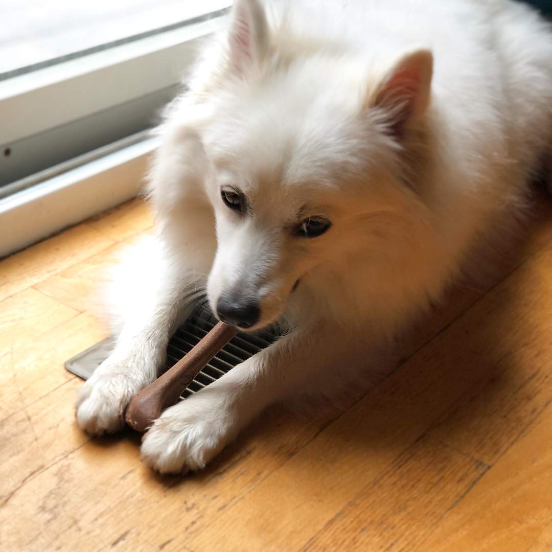 Spot Bam-Bones Bone - Made With Strong Bamboo Fiber, Durable Long Lasting Dog Chew For Light To Moderate Chewers, Great Toy For Adult Dogs & Teething Puppies Under 25Lbs, 5.75In, Bacon Flavor