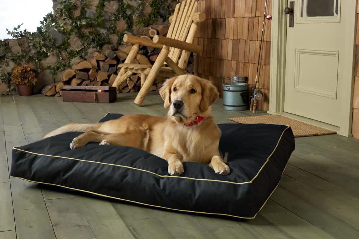 Dalema Dog Bed Cover 44L X 32W X 4H Inch.100% Waterproof Heavy Duty Durable Oxford Dog Bed Replacement Covers.Washable Removable Pet Bed Mattress Cover With Zipper.Black,Cover Only.