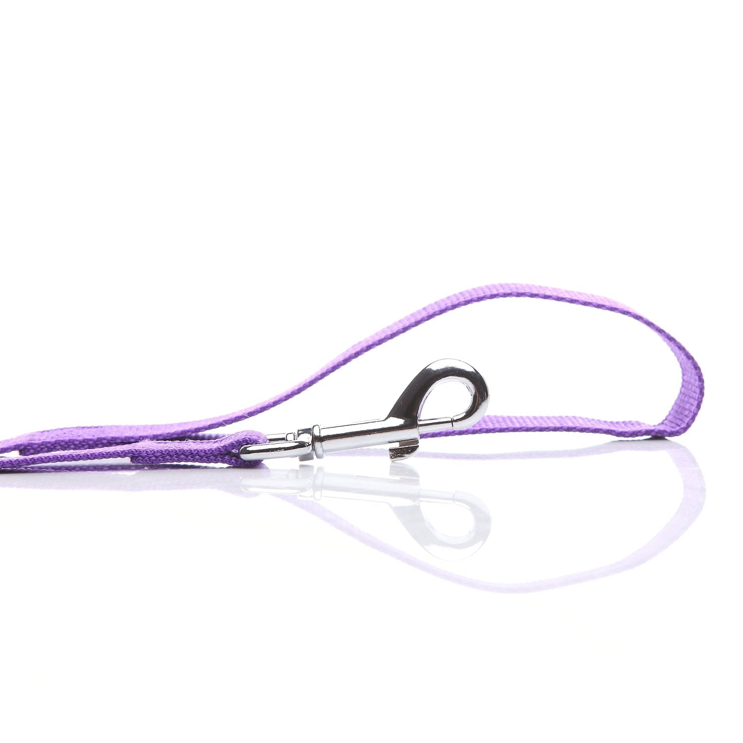 Nylon Dog Leash 4 Ft 5 Feet 6 Foot Long, Walking Training Dog Leashes For Medium Large Dogs, 1 Inch Wide(4Ft, Purple)