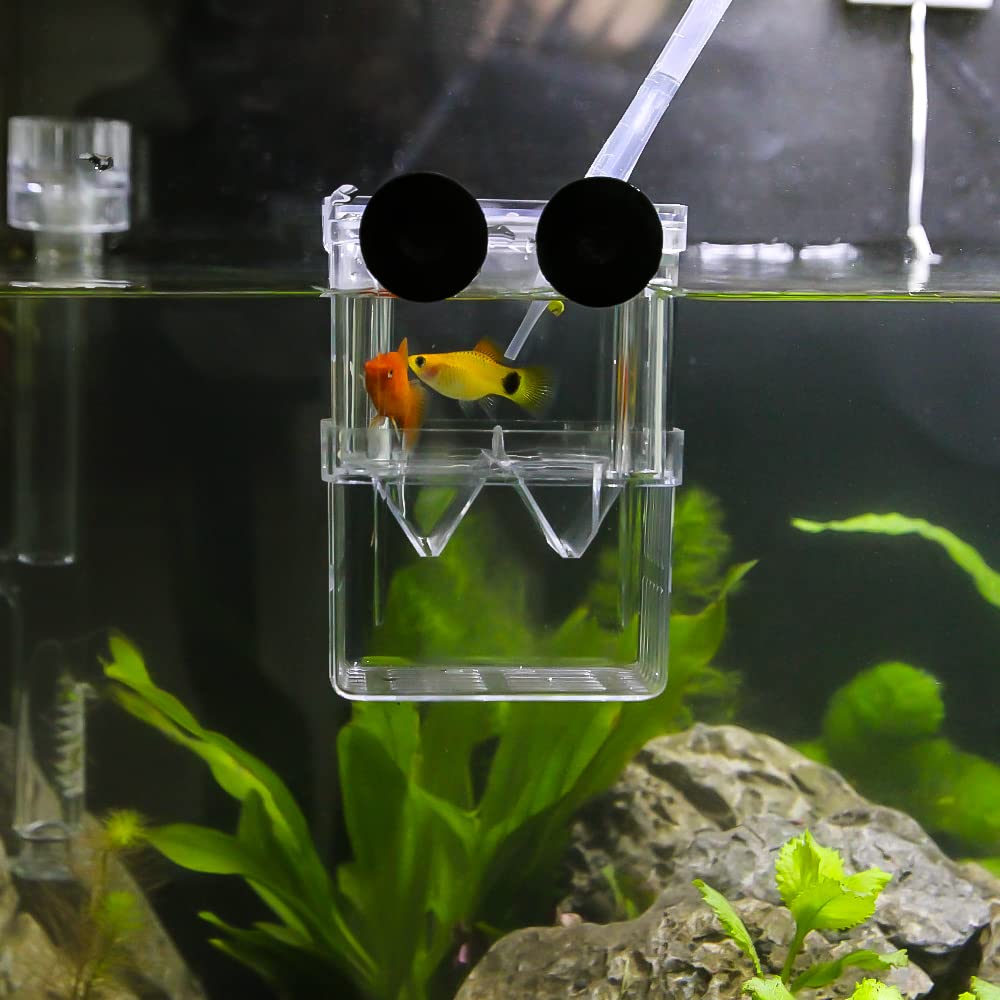 Senzeal Aquarium Fish Breeder Box Plastic Fish Isolation Breeding Box Hatching Incubator Box For Baby Fish Shrimp Clownfish Guppy
