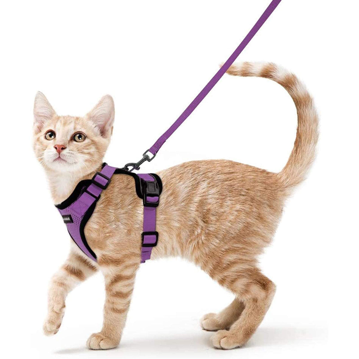 Rabbitgoo Cat Harness And Leash For Walking, Escape Proof Soft Adjustable Vest Harnesses For Cats, Easy Control Breathable Reflective Strips Jacket, Purple, Xs