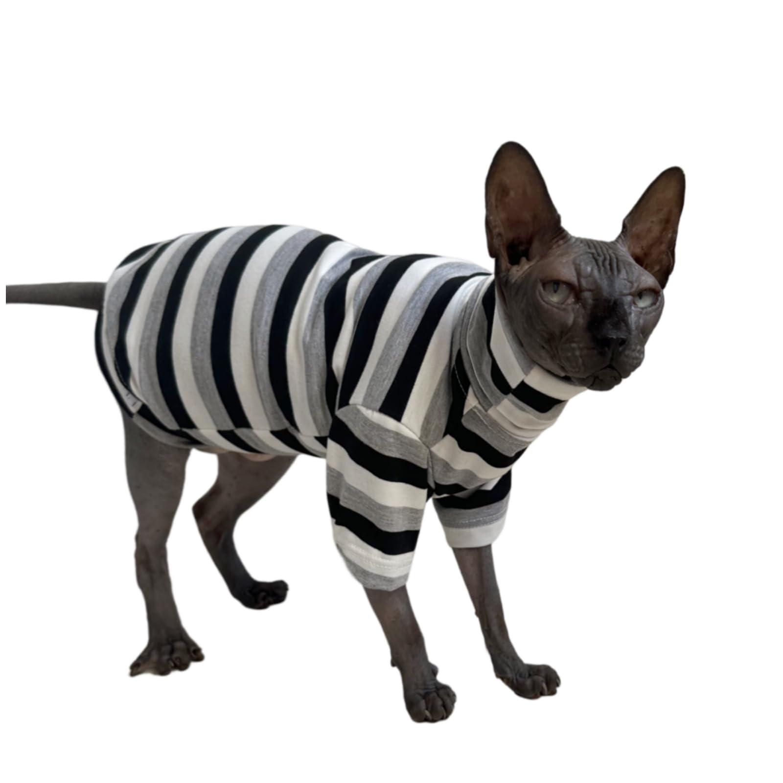 Vintage Stripes Sphynx Hairless Cats Shirt Cotton Cat Turtleneck Pet Clothes Kitten T-Shirts With Sleeves For Sphynx Cats (Black