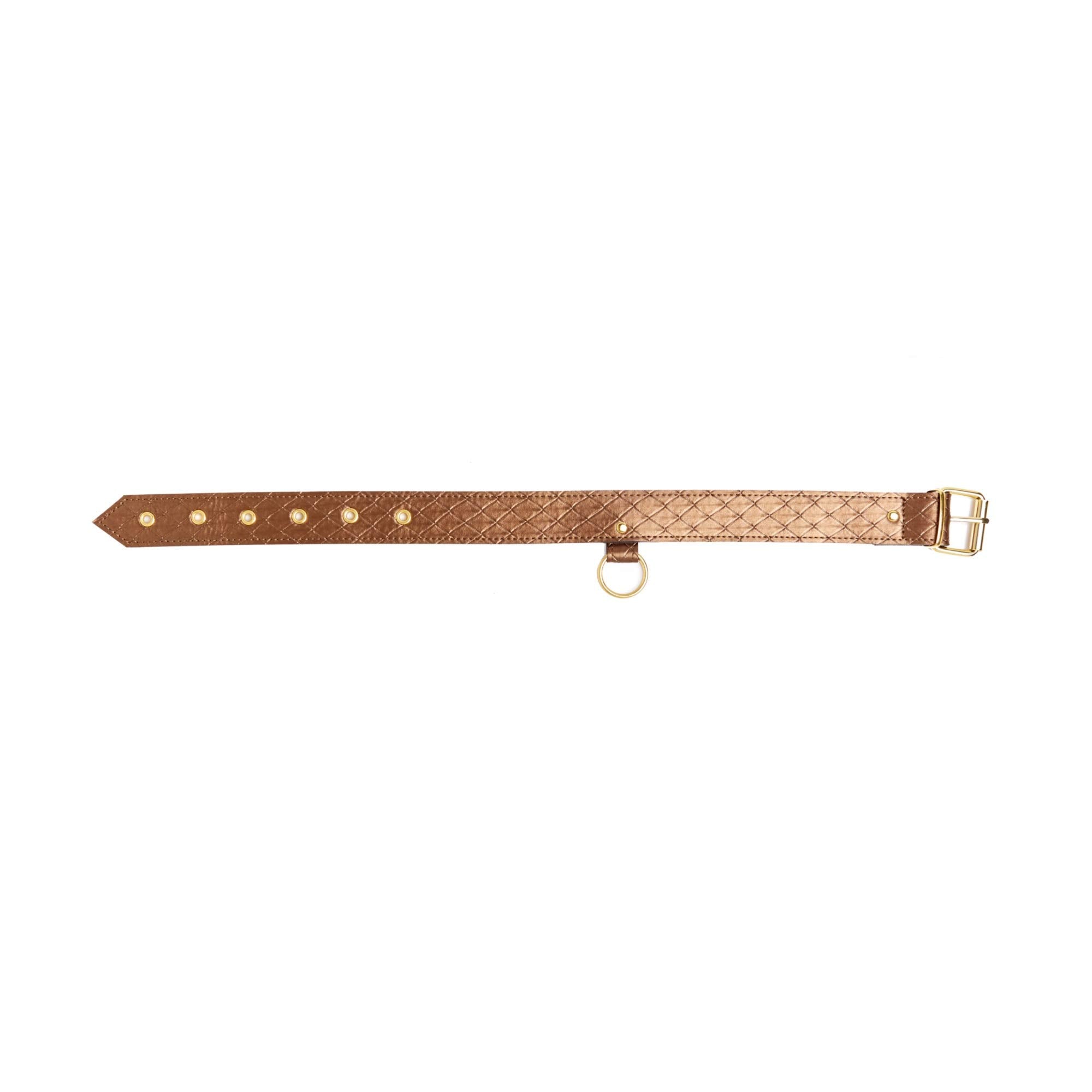 X-Play Allure Darling Pet Collar With Leash Set, Bronze, 36.299999999999997 Ml