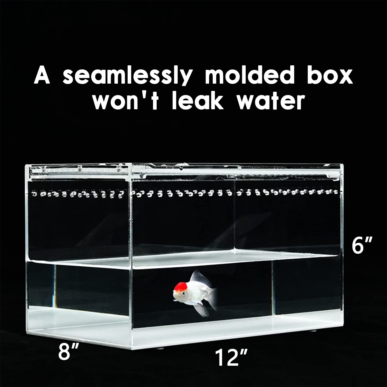 Sanosy Reptile Terrarium - Amphibian Tank Starter Kit, Eco Rainforest Feeding Box, Amphibian Feeding Box, Suitable For Breeding