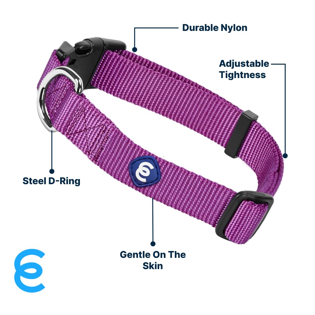 Blueberry Pet Essentials Matching Large Dog Collar | Adjustable Classic Solid Color Nylon Dog Collars For Large Dogs | Violet Do