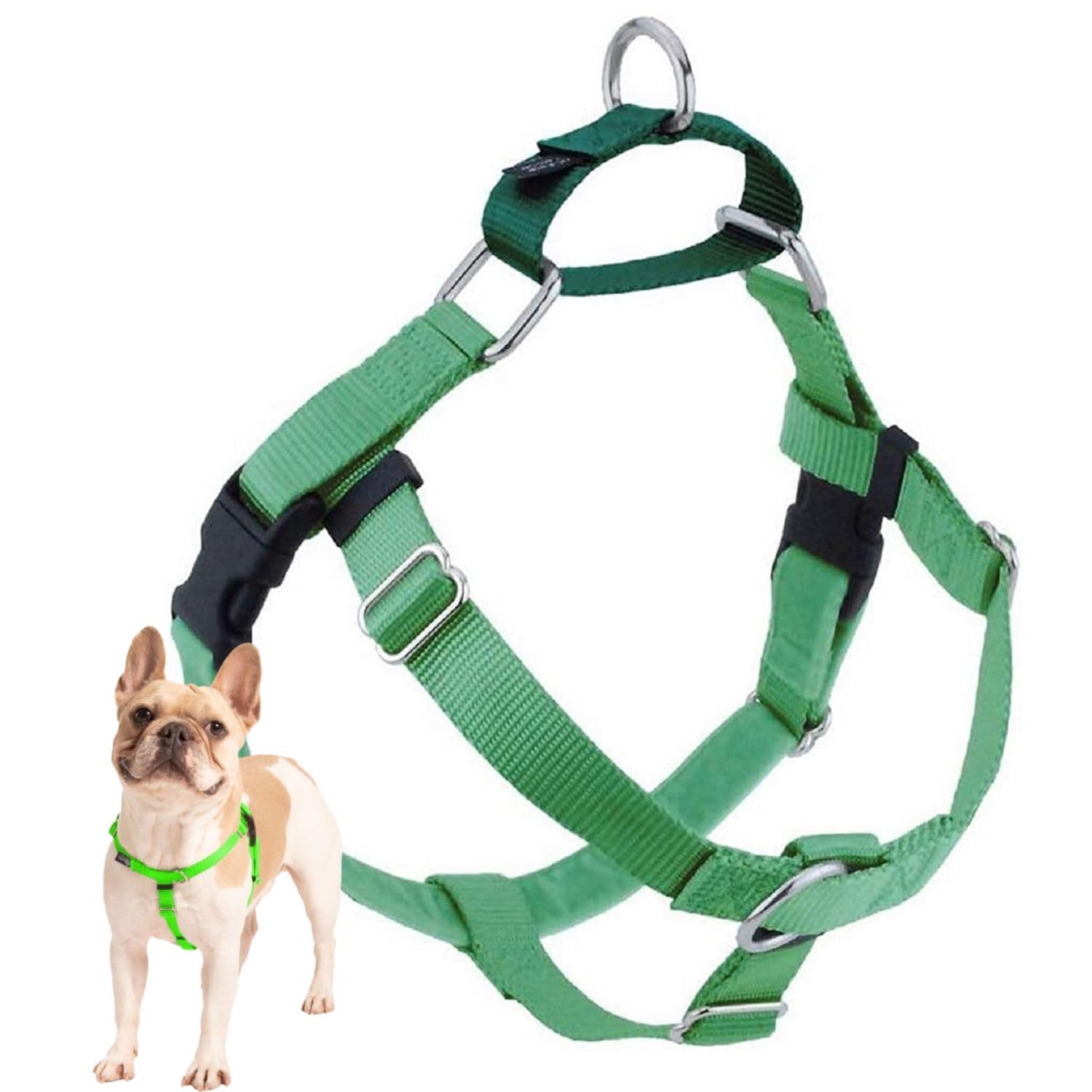 2 Hounds Design Freedom No Pull Dog Harness, Adjustable Harness, Easy Walking & Comfortable Control, Fits Small, Medium & Large Dogs, Solid Colors, Made In Usa, 1' Xl, Neon Green