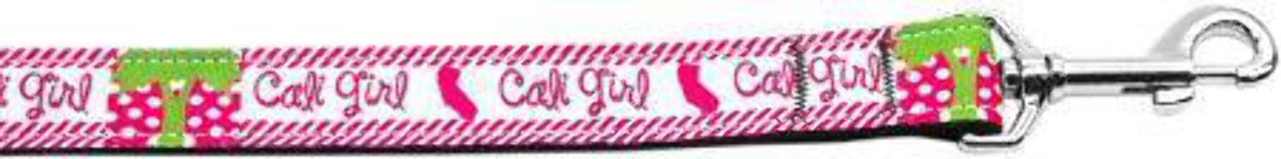 Pet Dog & Cat Nylon Collar or Leash, &quot;Cali Girl&quot; LG Collar