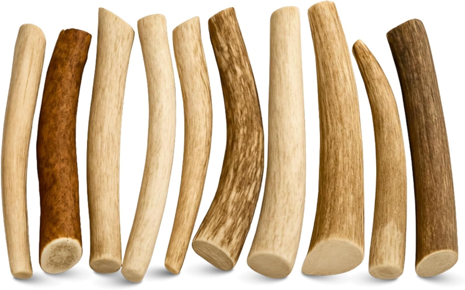 WhiteTail Naturals - Antlers for Small Dogs (10 Pack) Deer Antler Dog Chew Bones for Small Aggressive Chewers - Long Lasting Hor