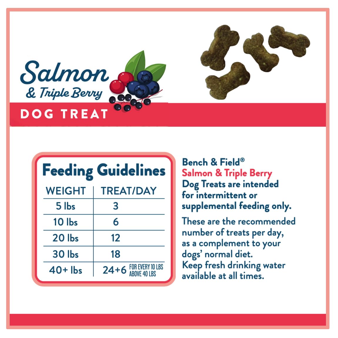Bench & Field Holistic Natural Salmon & Triple Berry Dog Treats | Crunchy Bone-Shaped Bites | Antioxidant Blend, 10-Ounce Bottle