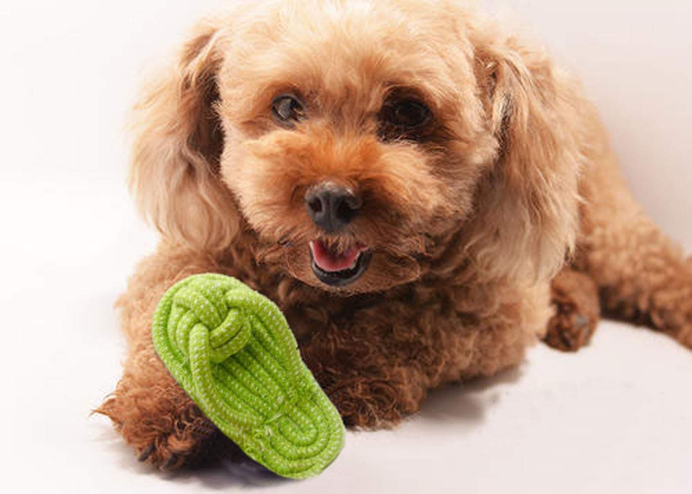 Sunglow Knotted Woven Pet Dog Toy,Puppy Molar Shoes,Eco-Friendly Cotton Rope Toys, Bite-Resistant Rope Knot Dog Toy,Medium/Small