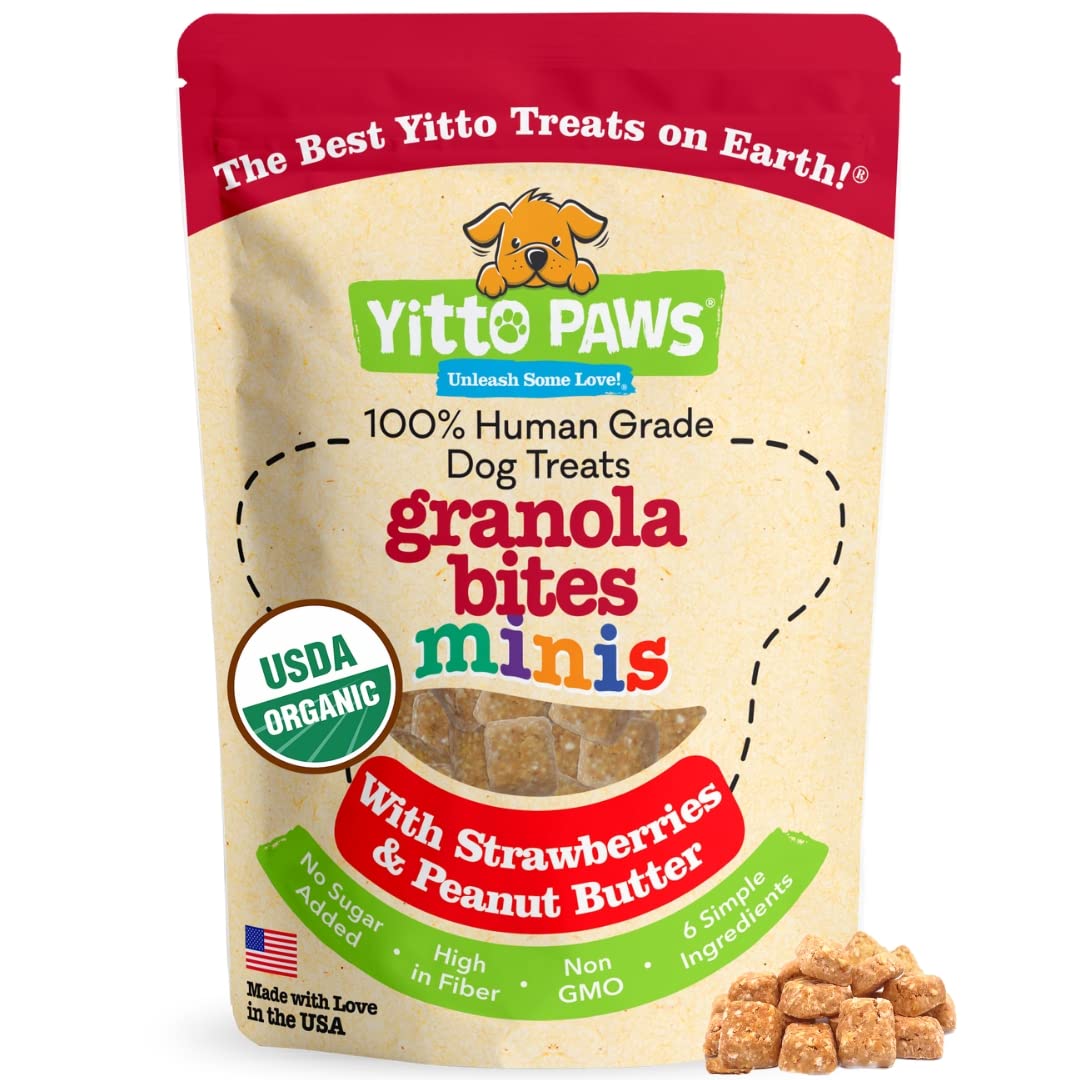Crunchy Mini Organic Dog Training Treats - Oats, Strawberries & Peanut Butter - Healthy Puppy Treats, Vegan All Natural Made in