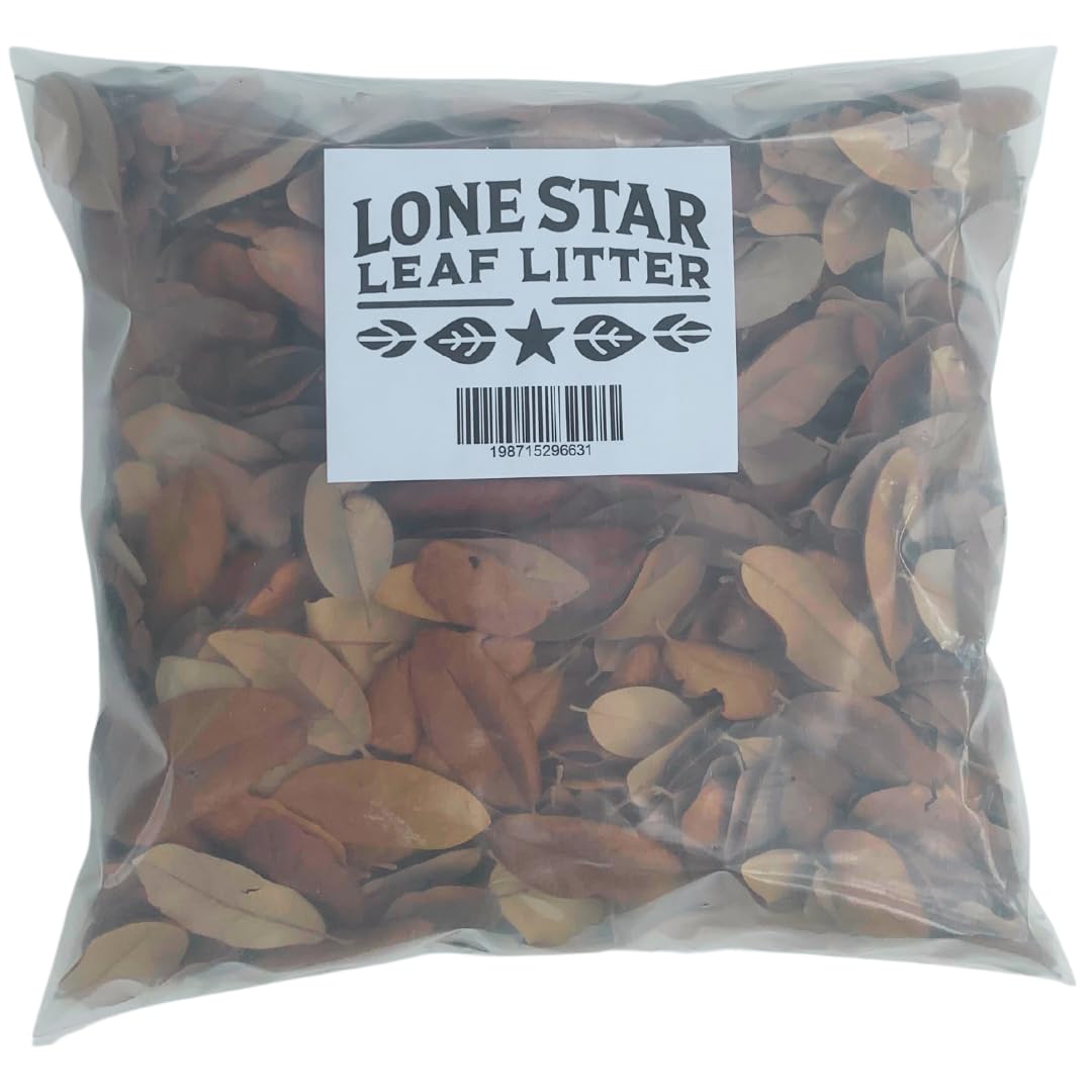 Lone Star Leaf Litter Texas Live Oak Leaf Litter For Reptiles, Bioactive Substrate, Leaf Litter For Isopods, Natural Habitat Enr