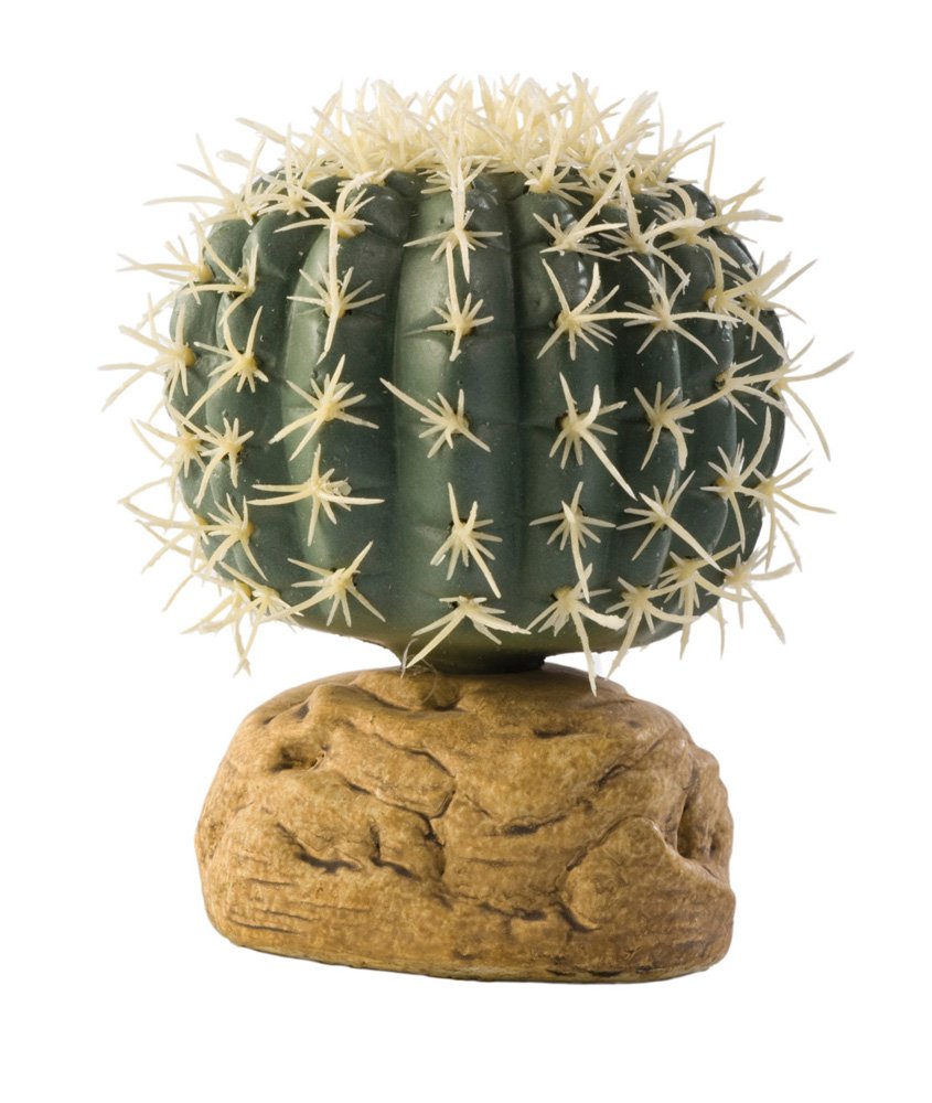 Exo Terra Barrel Cactus Terrarium Plant, Small