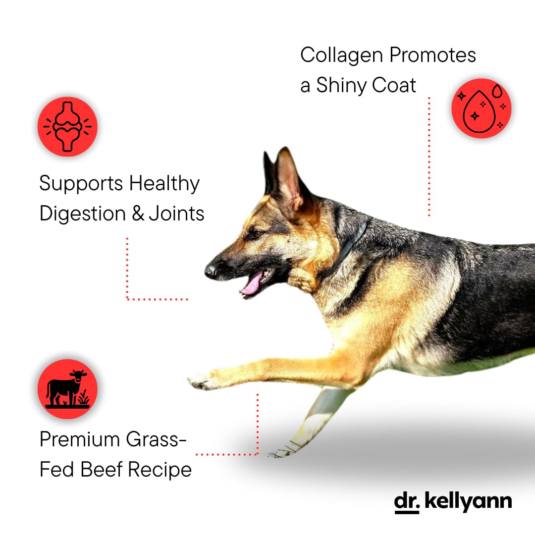 Dr. Kellyann Bone Broth Meal Topper for Dogs - Grass-Fed Beef, 6.60 oz, 3g Collagen, Grain Free, Supports Digestion & Joints
