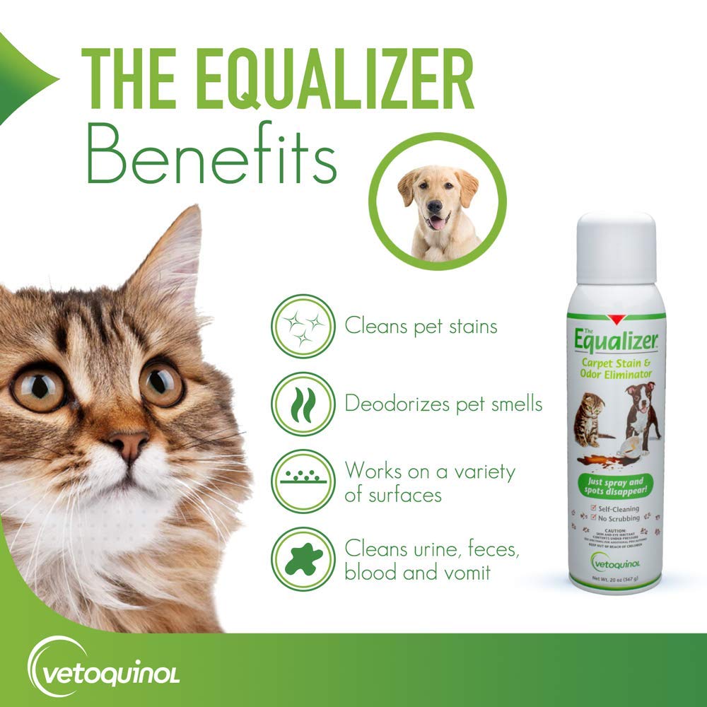 Vetoquinol Equalizer Pet Carpet Cleaner, Stain Remover & Odor Eliminator, Carpet Spot Cleaner, 20oz
