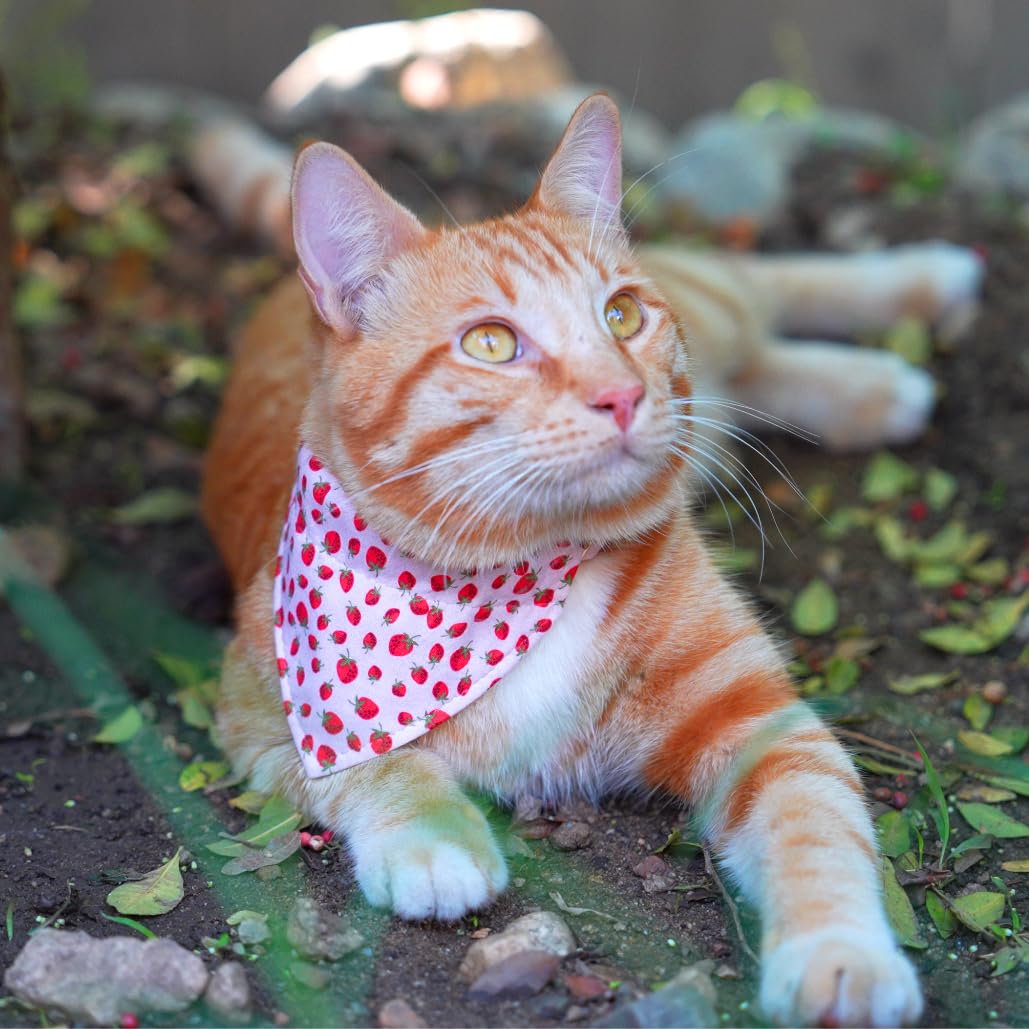 Ultra Joys Cat Collar With Bells - Breakaway, Boy & Girl, Kitten Collar - Strawberry Large
