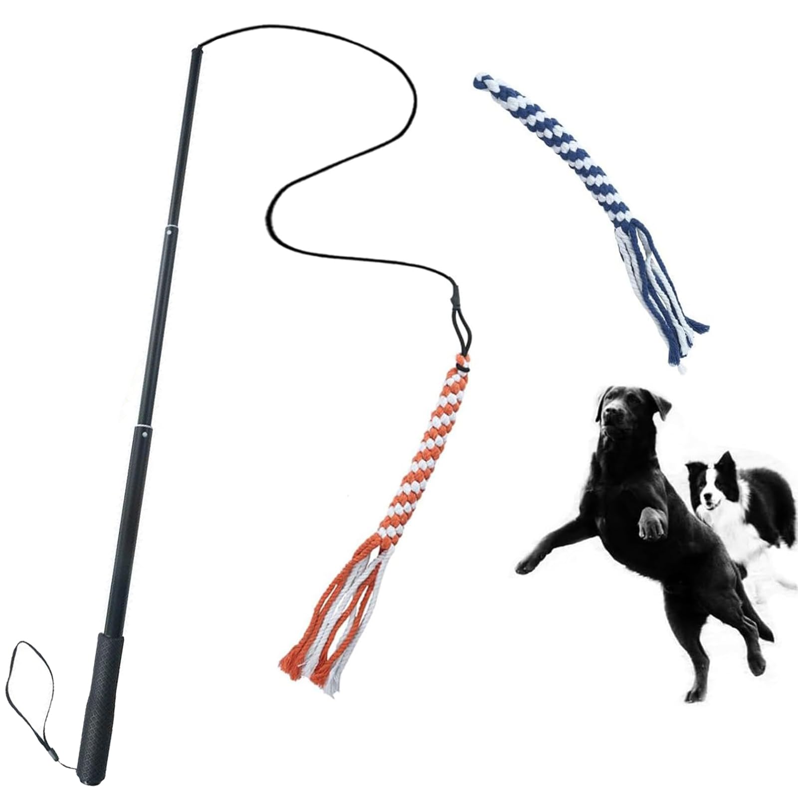 Asocea Dog Extendable Teaser Wand Pet Flirt Stick Pole Puppy Chasing Tail Interactive Toy For Small Medium Large Dogs Training Playing Exercise
