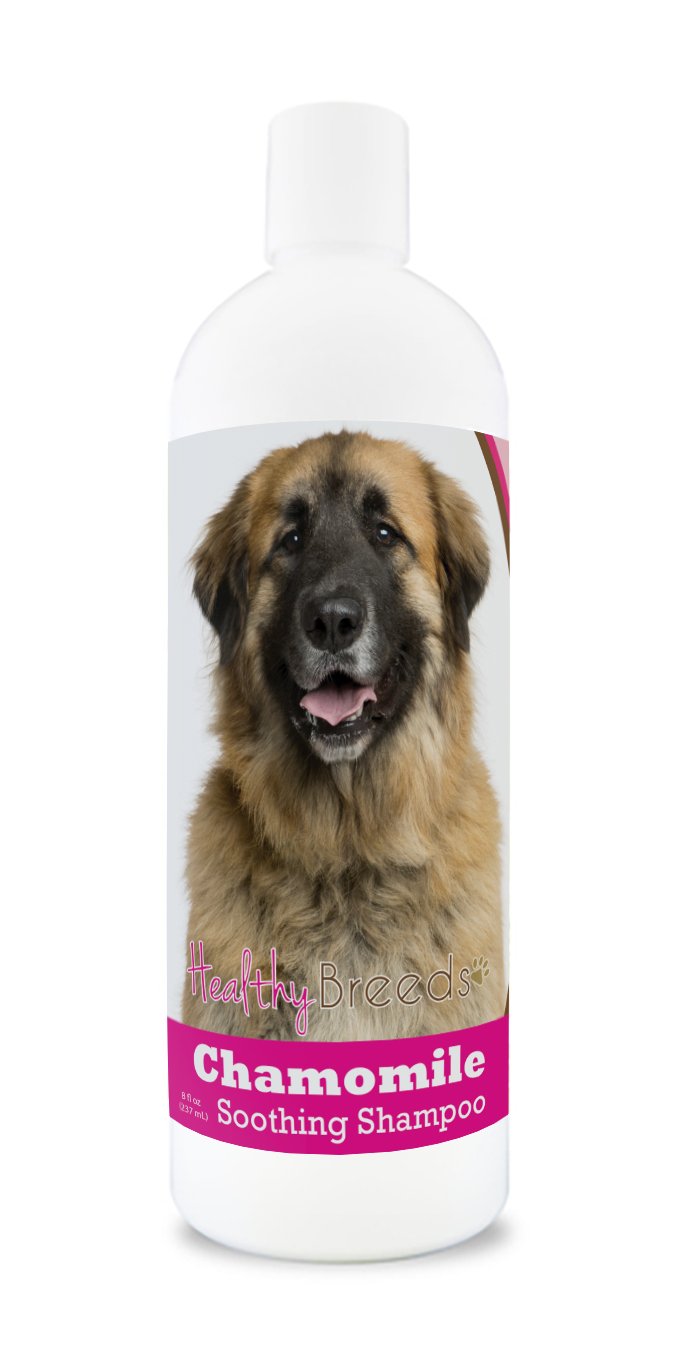 Healthy Breeds Leonberger Chamomile Soothing Dog Shampoo 8 oz